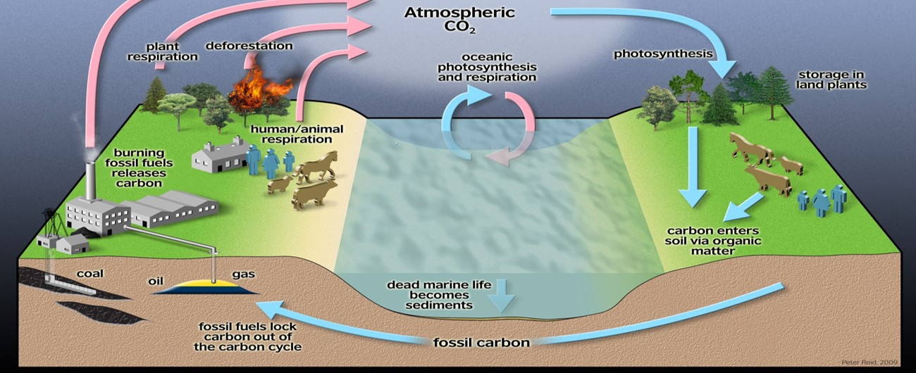 Speak Carbon