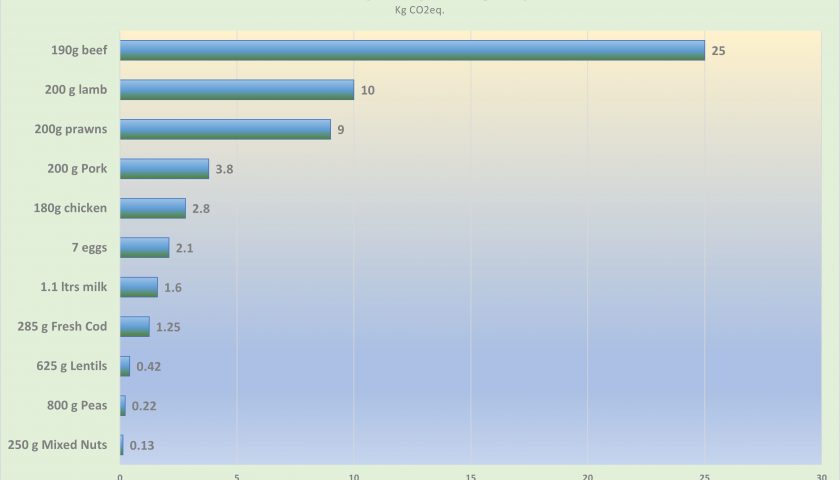 A chart compares the kg of CO2 emissions of different foods, as found in Mike Berners-Lee's book "How bas are bananas".