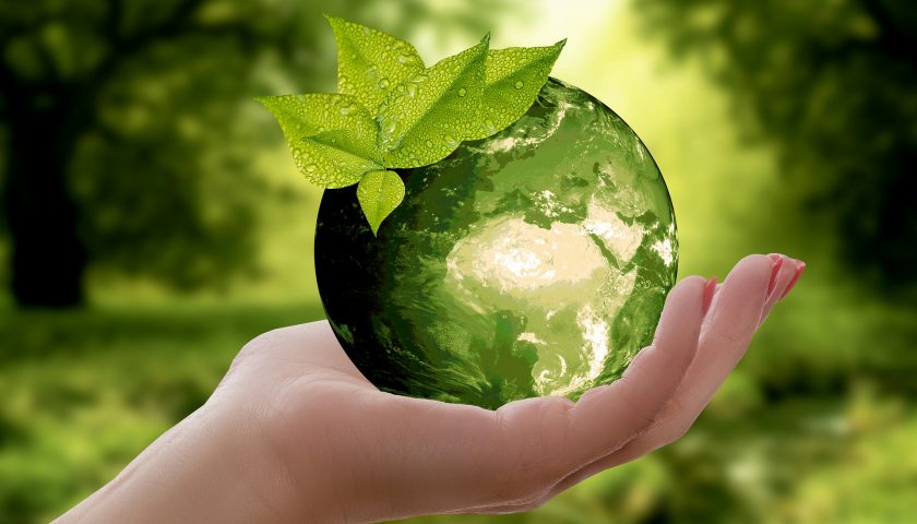 Picture of green globe in your hands