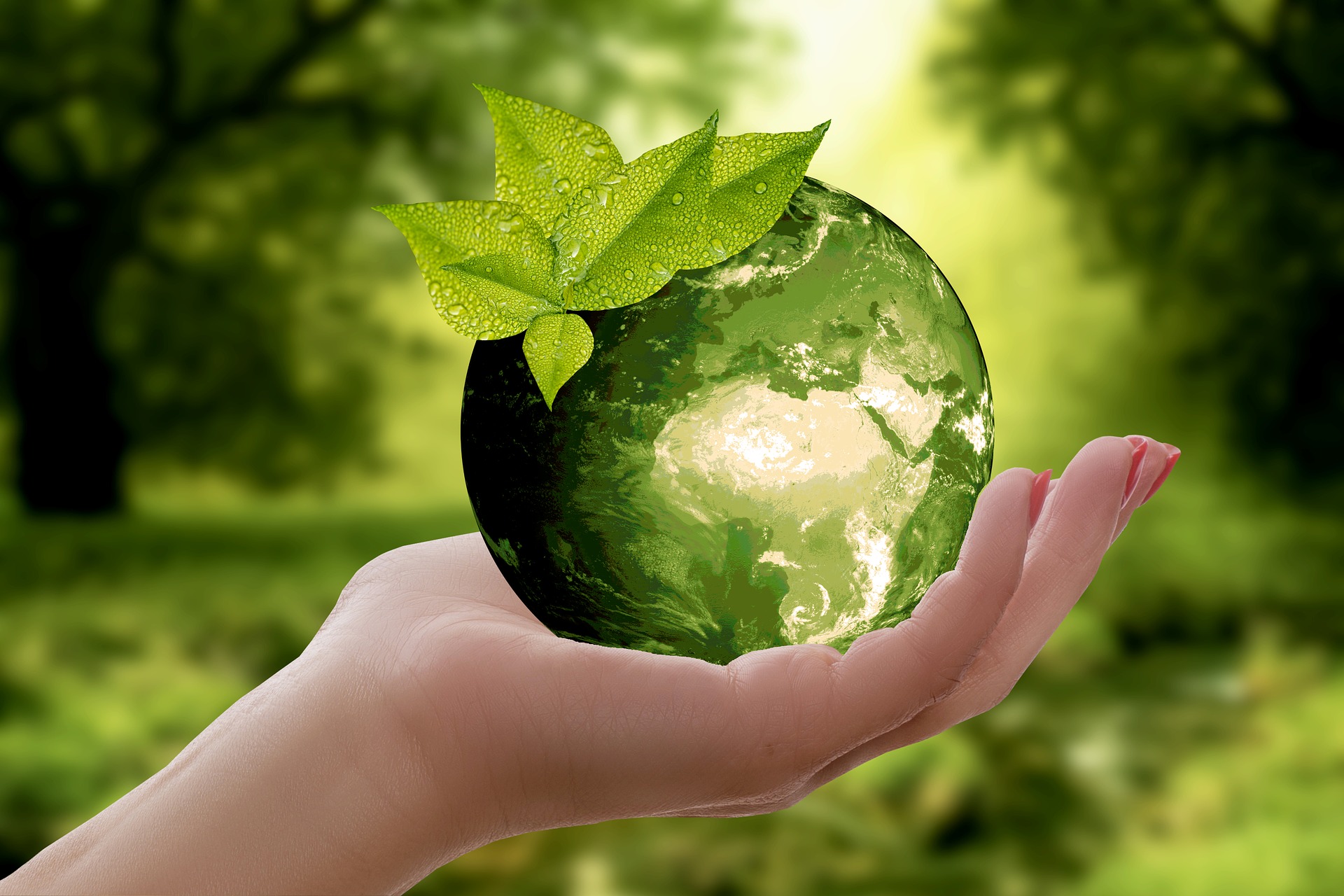 Picture of green globe in your hands