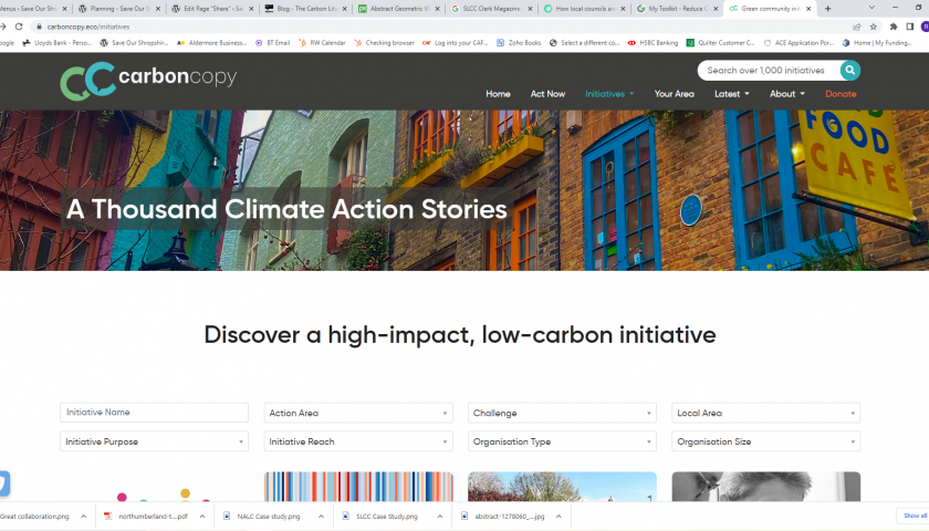 Climate Action Steps website