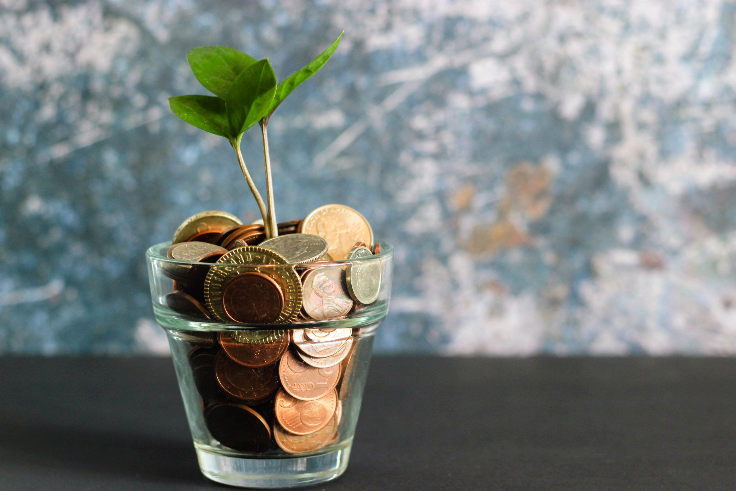 Picture of a green seedling growing out of a glass filled with money